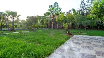 A garden with a paved walkway, various trees, and a building in the background.