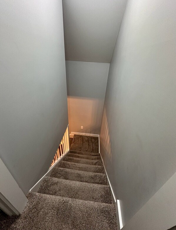 A staircase with carpeted steps leading to a landing. - Relax and Roscoe Apartment (Coshocton)