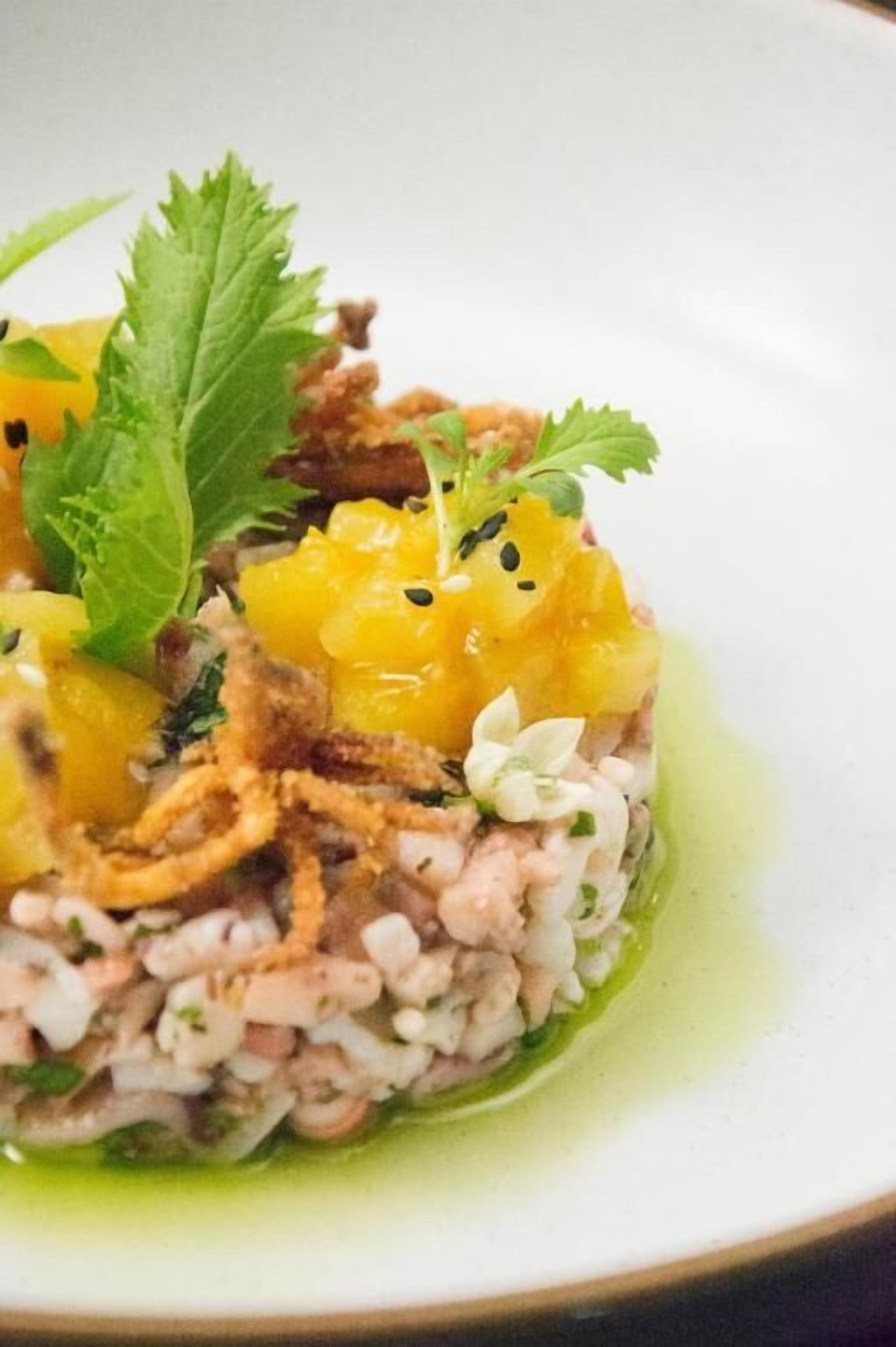 A dish with rice, meat, and garnishes on a plate.