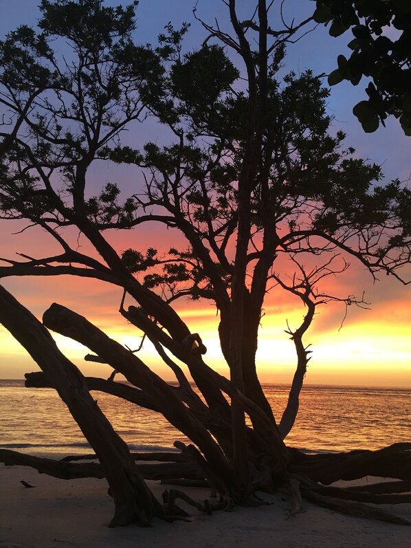 Liegestühle, Strandtücher