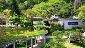 Un jardin luxuriant, avec un mur de pierre, un sentier sinueux et un petit étang.