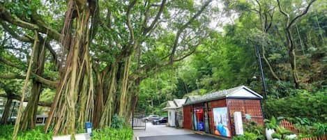 A pathway leading to a building with a red roof, surrounded by lush greenery and trees.