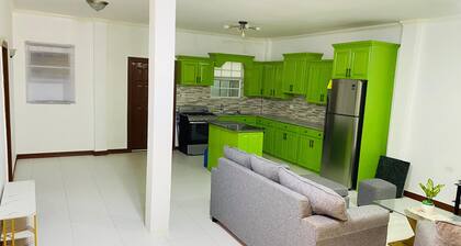 Spacious 2-bedroom apartment with AC, WiFi in brilliant Turkeyen