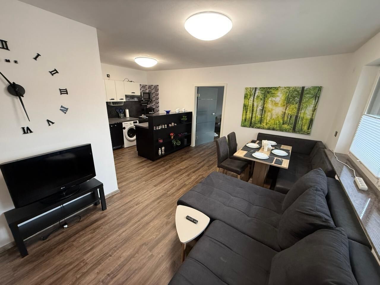 Fernseher