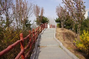 Unclassified image, 5 of 85, button - Aosen Hotel (Xinji)