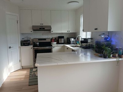 New Basement Suite with private bathroom, living room and laundry room