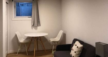 Private bathroom, living room with projector - Basement Suite for 3