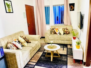 Een smart-tv, een open haard en boeken