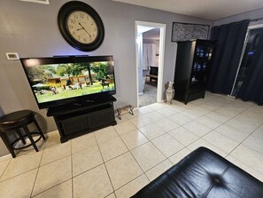 Smart TV, fireplace, books