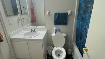 Serviettes fournies, savon, papier toilette