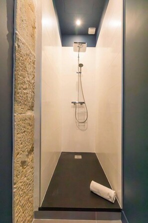 Shower, hair dryer, towels - L'Atre des Ducs, au centre historique de la ville (Dijon)