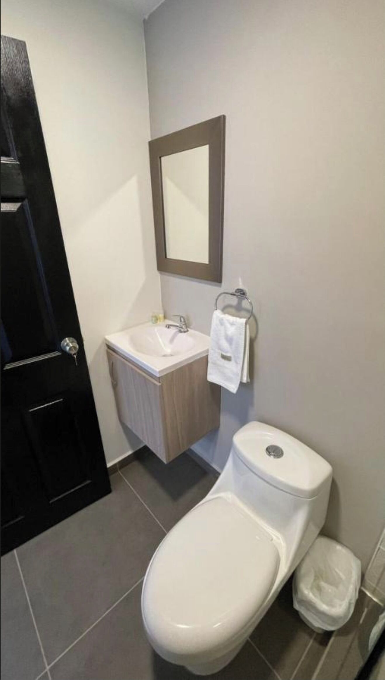 A small bathroom with a white toilet, a sink, and a mirror.