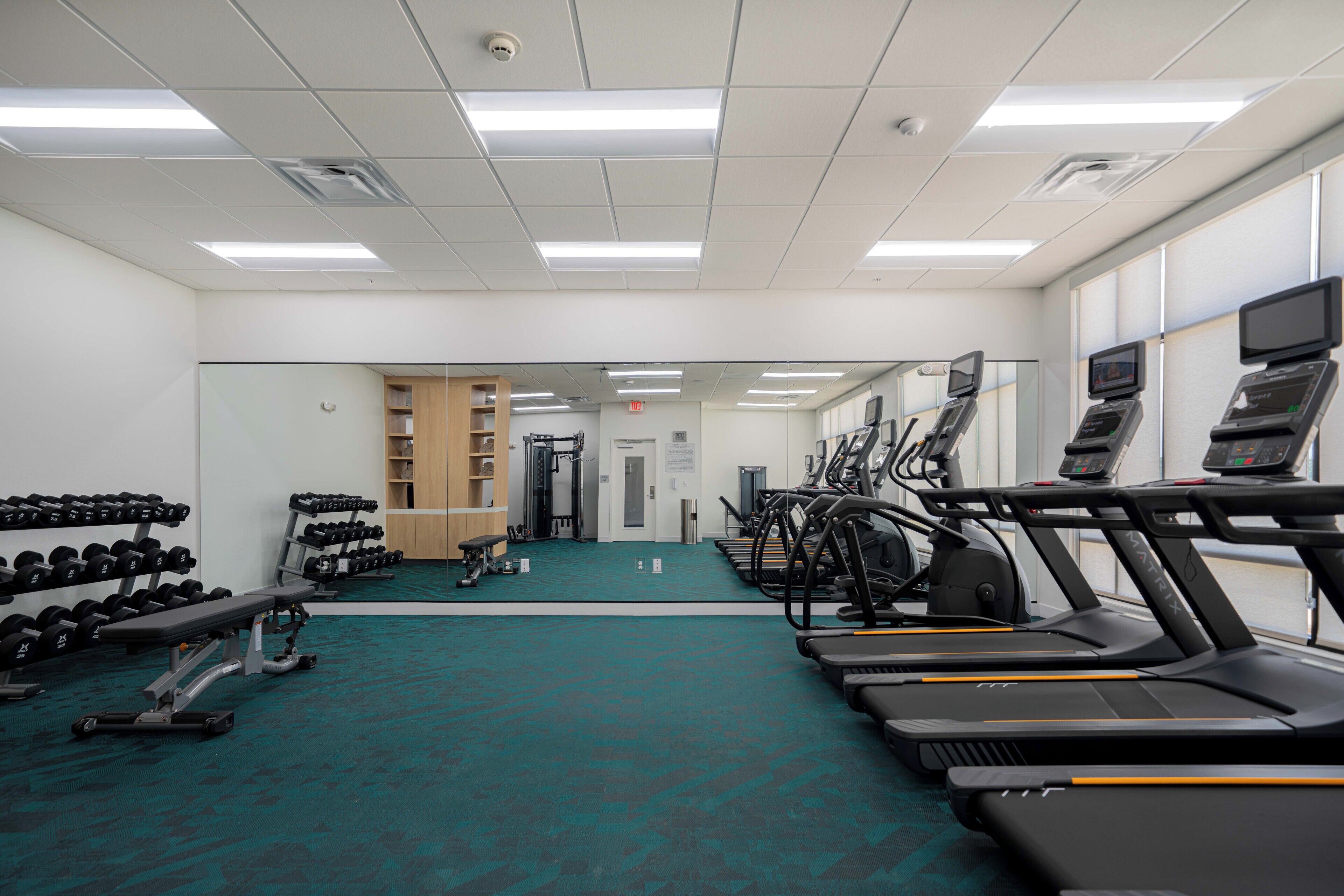 A gym with treadmills, dumbbells, and weight machines.