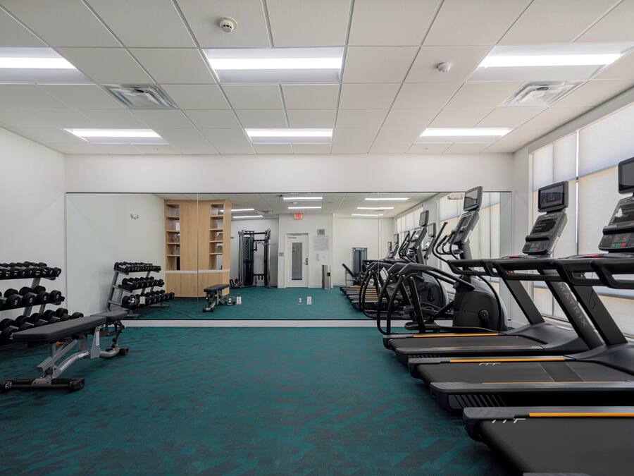 A gym with treadmills, dumbbells, and weight machines.