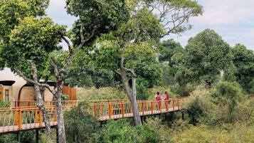 Un puente de madera que une un edificio con una zona cubierta de árboles.