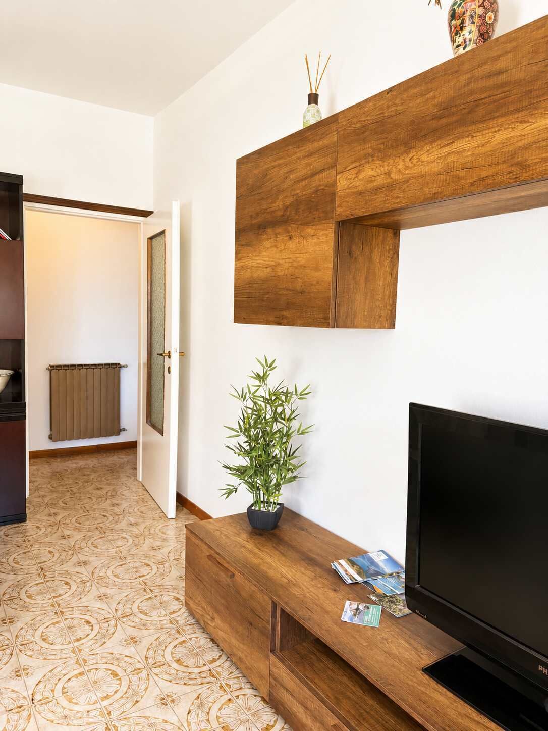Un salon moderne avec un téléviseur à écran plat, un meuble de rangement en bois et une plante en pot.