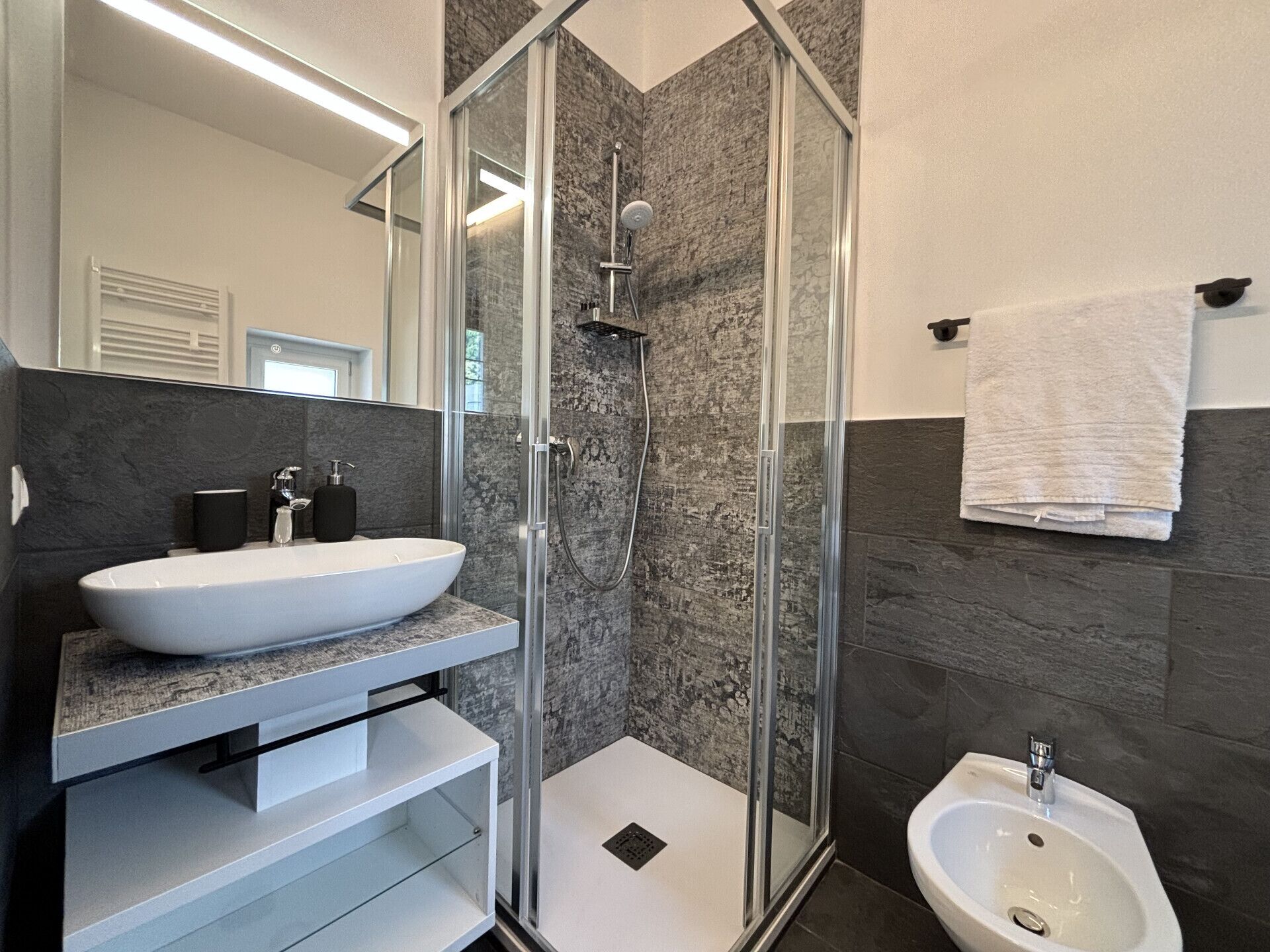 Shower, hair dryer, bidet, towels