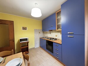 Fridge, oven, stovetop, cookware/dishes/utensils