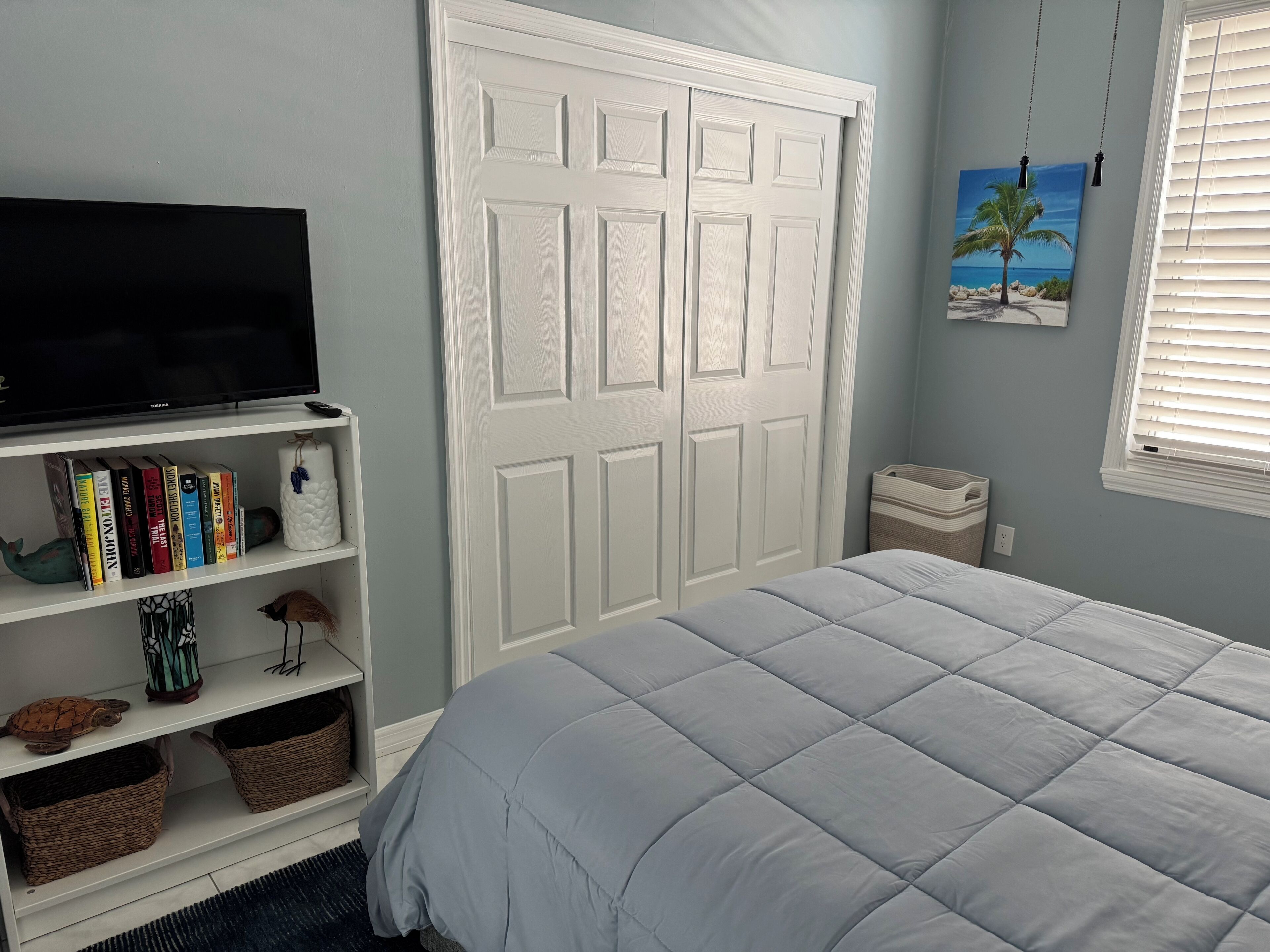 A bedroom with a bed, a bookshelf with books, a television, and a closet.
