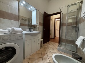 Shower, hair dryer, bidet, towels