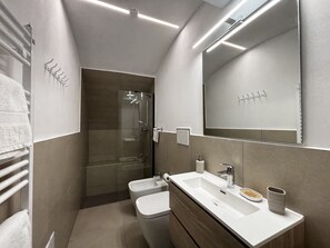 Regadera, secadora de cabello, bidet, toallas 