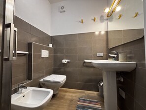 Regadera, secadora de cabello, bidet, toallas 
