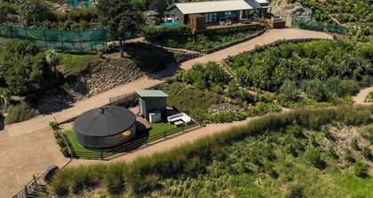 Awaawa Yurts - Tane - Our Island