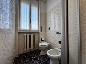 Shower, hair dryer, bidet, towels