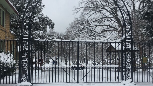 A snow-covered gate with the inscription "Professional Cemetery."