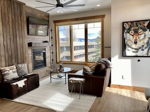 TV, fireplace