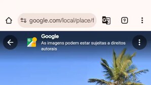 Un camino que lleva a una playa con palmeras y una vista despejada del océano.