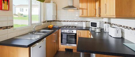 Fridge, oven, stovetop, toaster