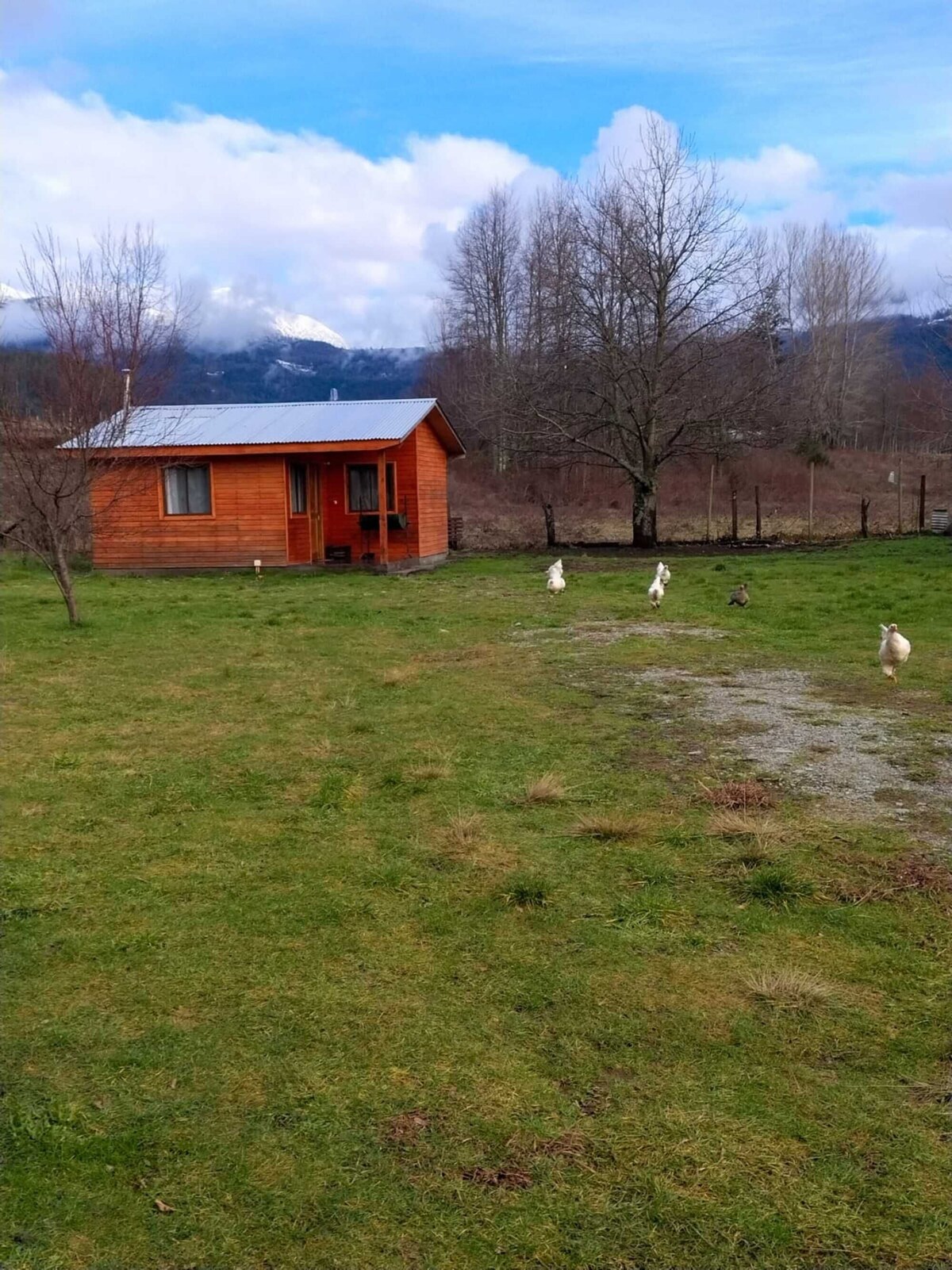 Bild für Gastgeberprofil