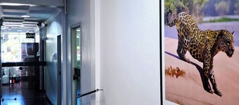 Bandeirantes Hotel