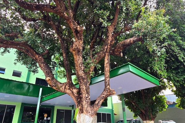 Parkir valet gratis