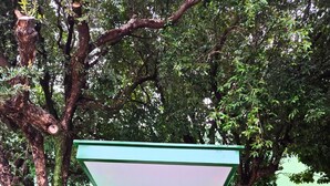 A covered walkway leading to a building entrance, surrounded by trees and parked cars. - Bandeirantes Hotel (Cuiaba)