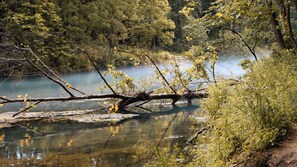 A natural landscape with a fallen tree in a body of water surrounded by trees.