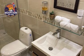 Regadera, secadora de cabello, toallas, jabón 