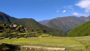 Terraced fields, a house, and mountains under a clear sky.