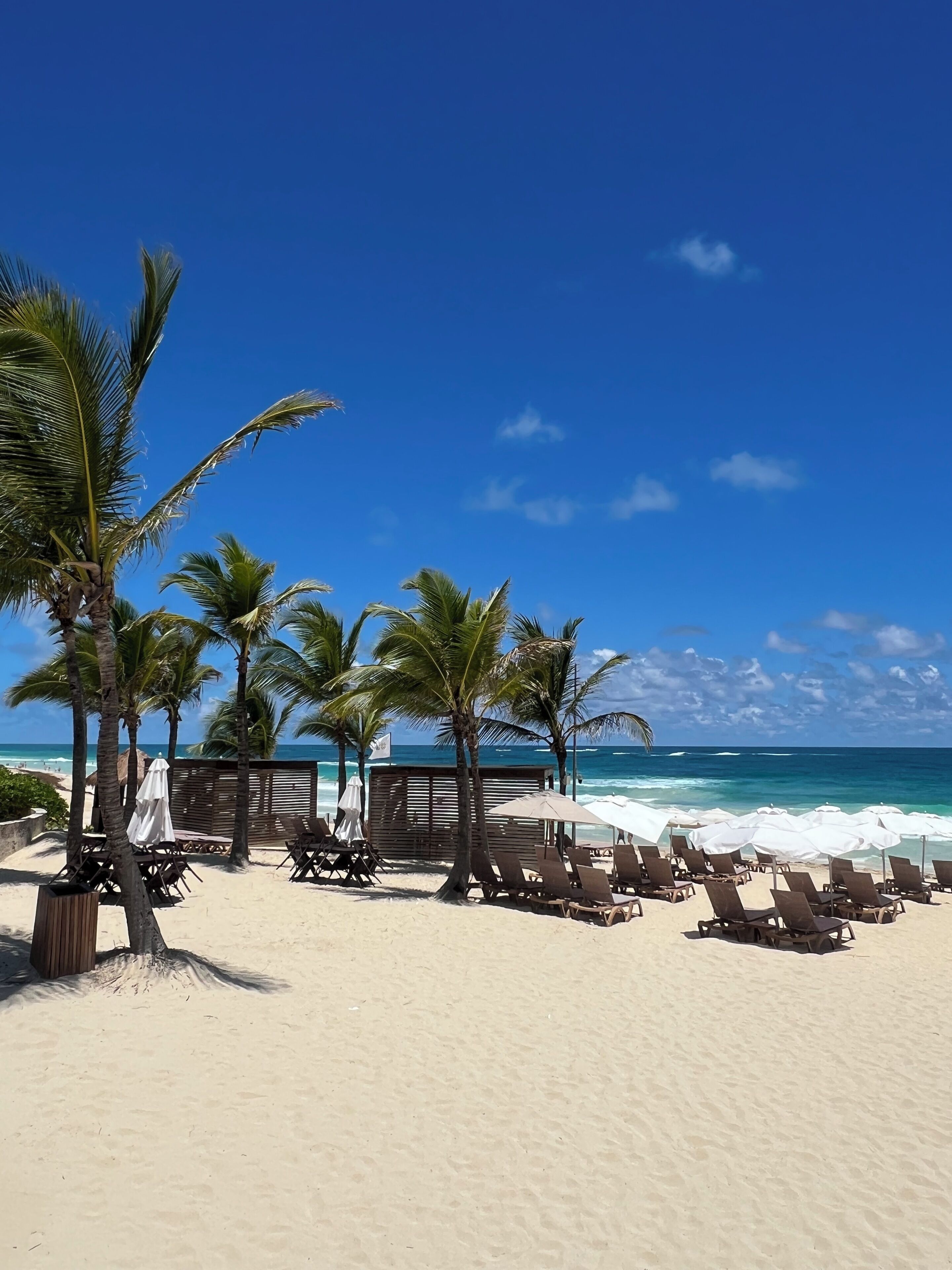 Sun loungers, beach towels