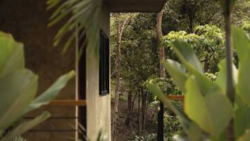 Mar | Vue de la chambre