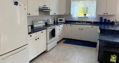 A New Pet Friendly Getaway in Alert Bay