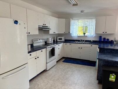 A New Pet Friendly Getaway in Alert Bay