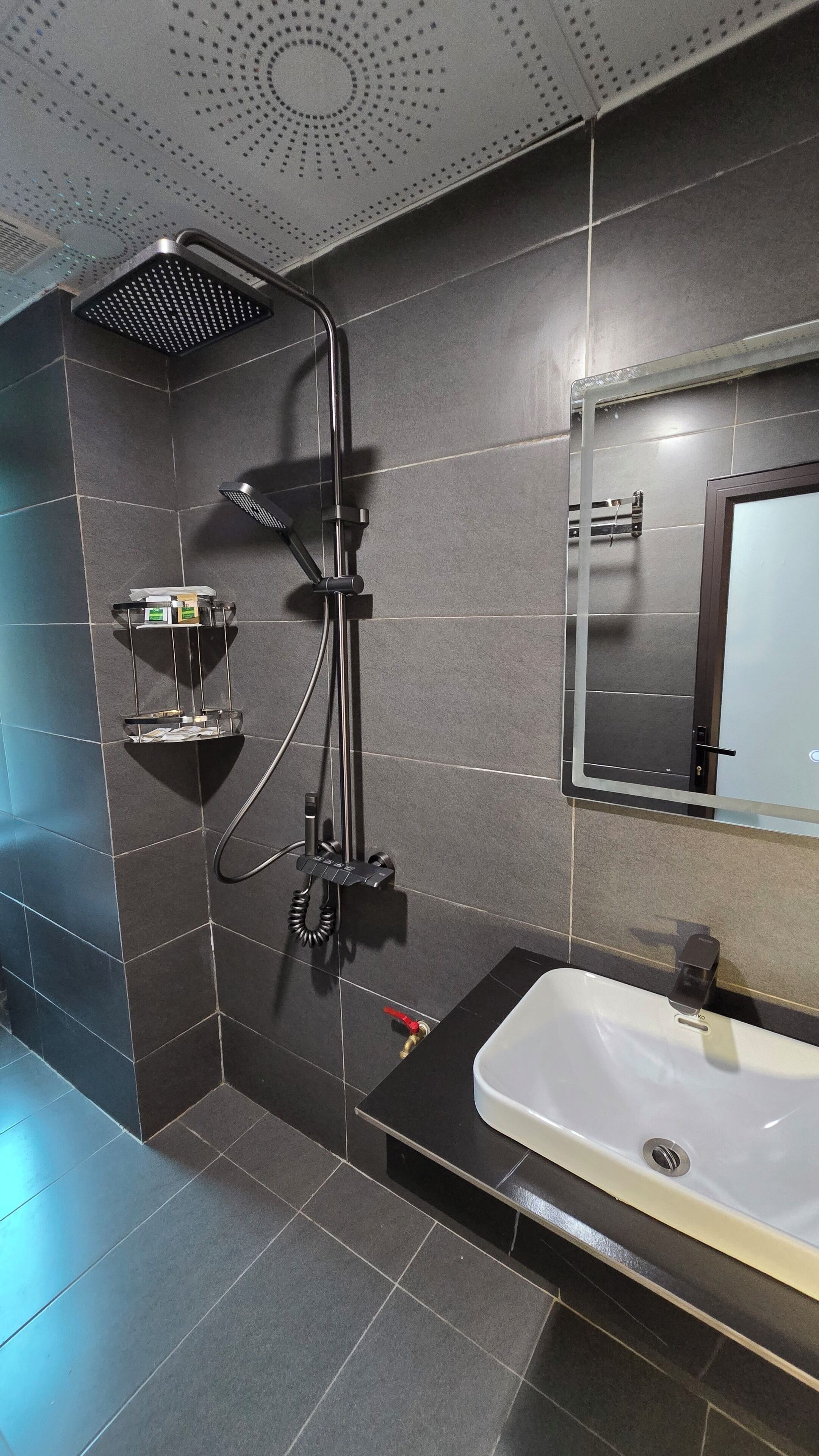 A modern bathroom with a shower, a sink, and a mirror.