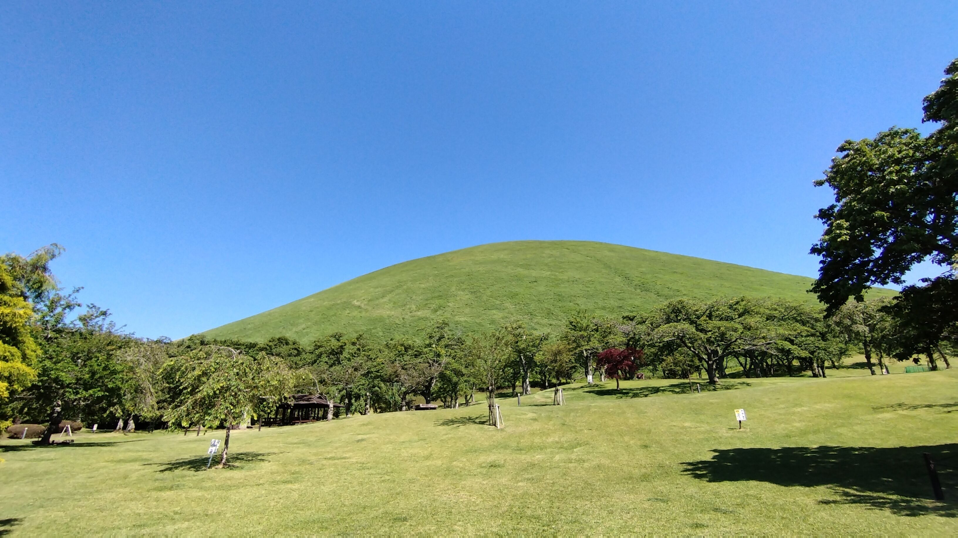 A grassy hill with a gazebo and trees.