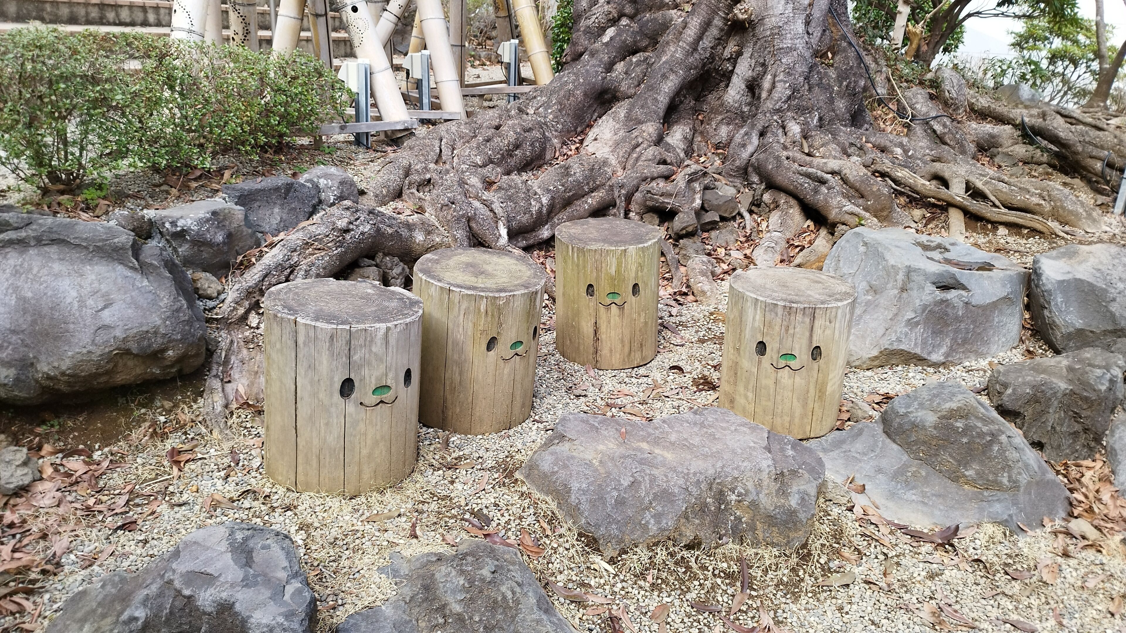 Wooden stools with faces carved into them, placed on a gravel surface with rocks around.