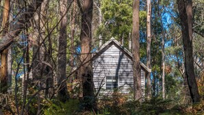 Un chalet rustique entouré d’une forêt dense.