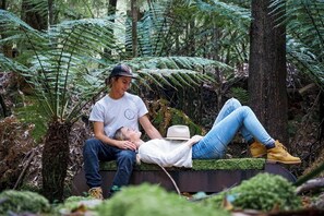 Een stel ontspant op een bank in een bebost gebied met varens en bomen.