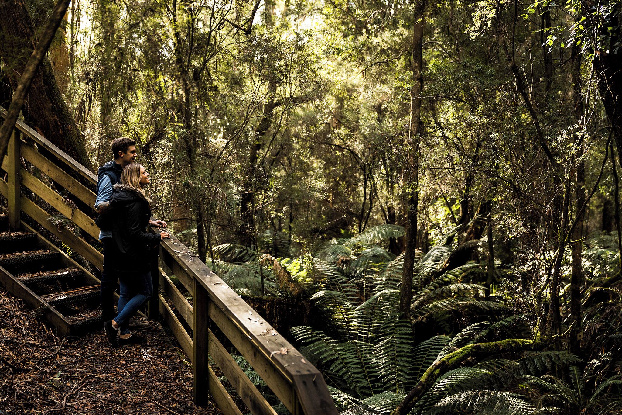 Vista desde la propiedad