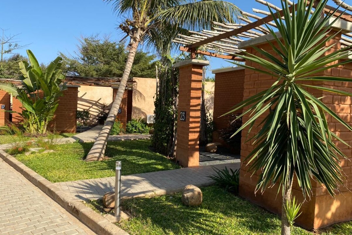 A well-maintained garden with a palm tree, a brick wall, and a pathway leading to a building entrance.